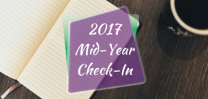 2017 Mid Year Check In Budget Like a Lady